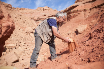 Imagen de Más grande que el T. Rex - 8