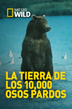 Imagen de La tierra de los 10,000 osos pardos - 1