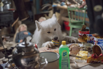 Imagen de Operación Ártico - 16