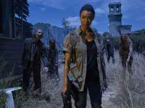 The Walking Dead