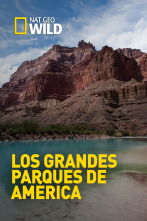 Los grandes parques de América 