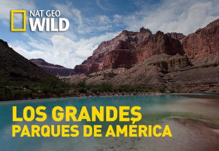 Los grandes parques de América 