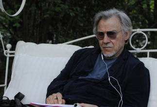 Imagen de La juventud - 5