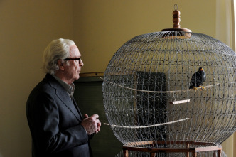 Imagen de La juventud - 13