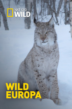 Imagen de Wild Europa  - 1
