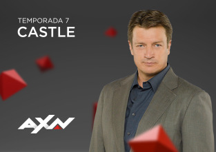 Castle (T7): Ep.20 El contacto