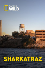 Imagen de Sharkatraz - 1