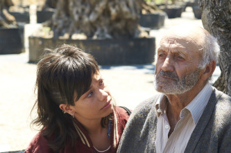 El olivo