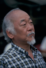 Imagen de El nuevo Karate Kid - 6