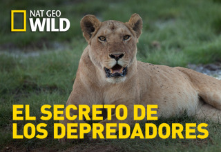 Imagen de El secreto de los...: Bajo el agua - 2