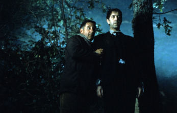 Imagen de El bosque animado - 7