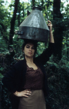 Imagen de El bosque animado - 9