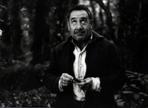 Imagen de El bosque animado - 12