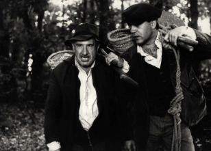 Imagen de El bosque animado - 13