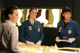 Bones (T12)