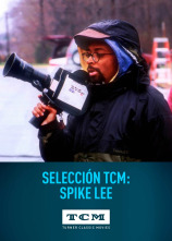 Imagen de Selección TCM: Spike Lee - 1