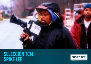 Imagen de Selección TCM: Spike Lee - 2