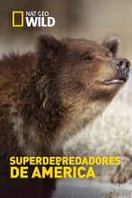 Imagen de Superdepredadores de América - 1