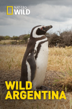 Imagen de Wild Argentina: El reino del agua - 1