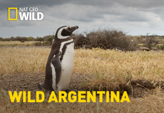 Imagen de Wild Argentina: El reino del agua - 2