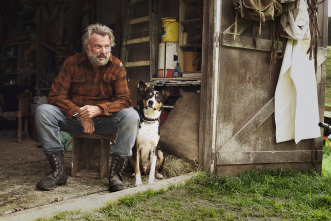 Imagen de Hunt for the Wilderpeople (A la caza de los ñumanos) - 4