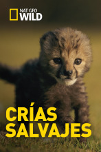 Imagen de Crías salvajes  - 1