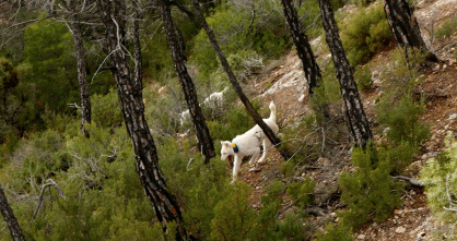 Imagen de Monteando entre cierres y traviesas - 2