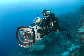Imagen de Guerreros de los océanos - 4