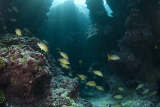 Imagen de Guerreros de los océanos - 6