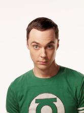 The Big Bang Theory (T4)