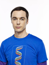 The Big Bang Theory (T7)