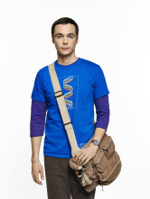 The Big Bang Theory (T7)