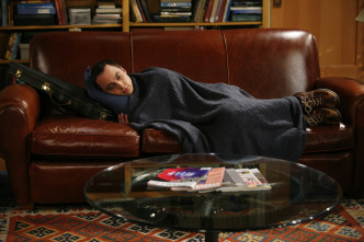 The Big Bang Theory (T1)