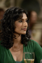 The Big Bang Theory (T1): Ep.8 El experimento del Grasshopper