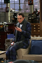 The Big Bang Theory (T1): Ep.11 La anomalía de la masa de tortitas