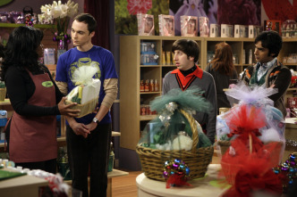 The Big Bang Theory (T2)