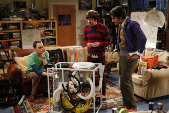 The Big Bang Theory (T2)