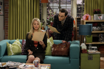 The Big Bang Theory (T3)