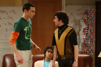 The Big Bang Theory (T3)