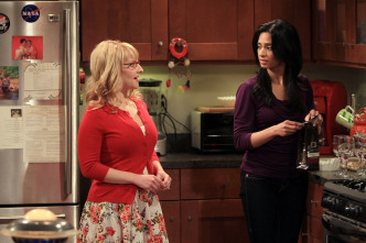 The Big Bang Theory (T4): Ep.22 La implementación del ñu