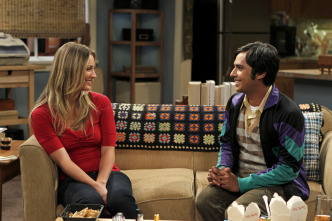 The Big Bang Theory (T5)
