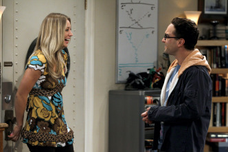 The Big Bang Theory (T5)
