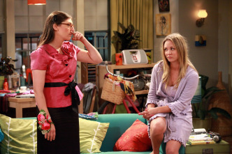 The Big Bang Theory (T5): Ep.3 La extrapolación del tirón de ingle
