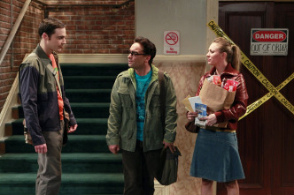 The Big Bang Theory (T5)