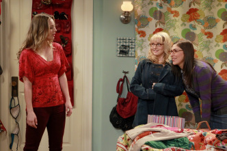 The Big Bang Theory (T5): Ep.11 La recurrencia Speckerman