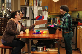 The Big Bang Theory (T5)