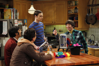 The Big Bang Theory (T5)