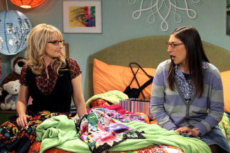 The Big Bang Theory (T5): Ep.13 La hipótesis de la recombinación