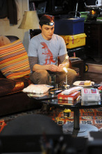 The Big Bang Theory (T5)