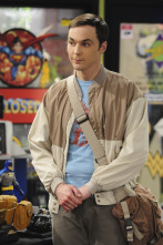 The Big Bang Theory (T5)